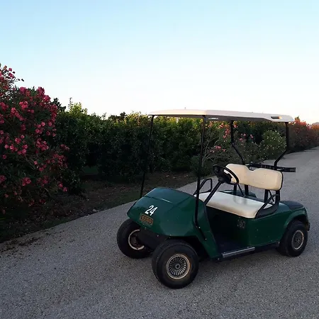 فيلة Orange Grove *