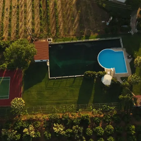 Orange Grove Villa