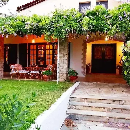 Orange Grove *