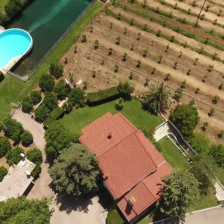 Orange Grove *