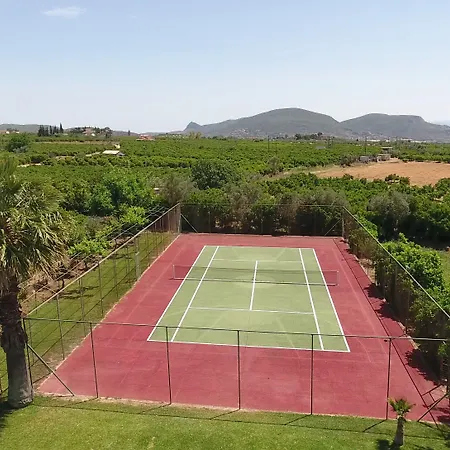 Orange Grove