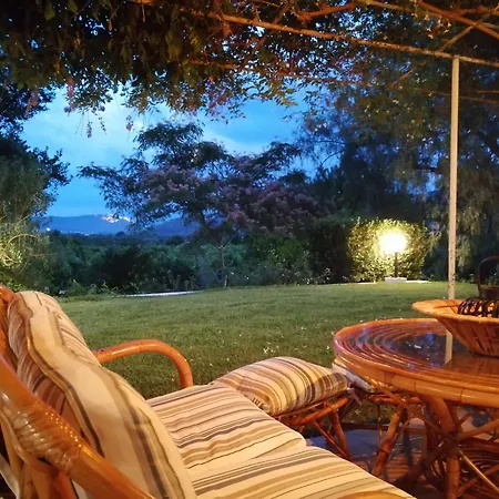 Orange Grove *