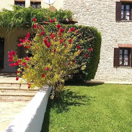 Orange Grove Villa