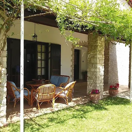 Orange Grove