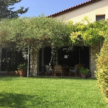 Orange Grove * Nea Tirins