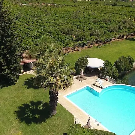 Orange Grove *