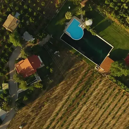 Orange Grove Villa