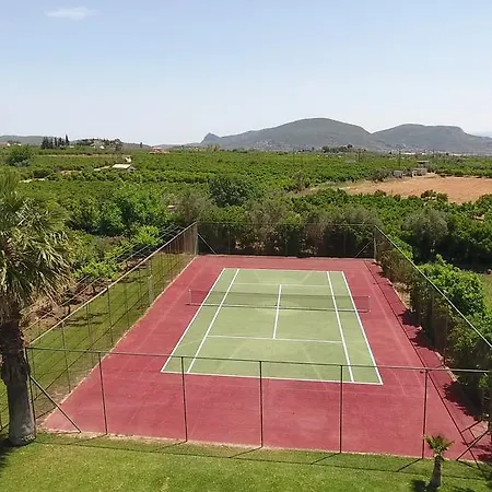 Orange Grove