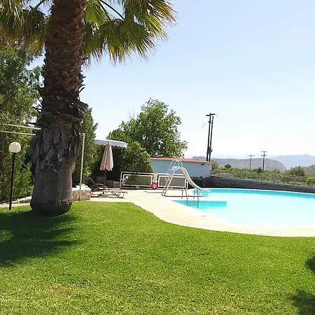 Orange Grove *