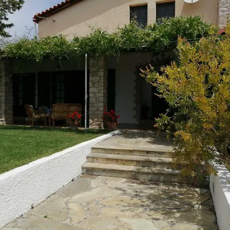 Orange Grove *