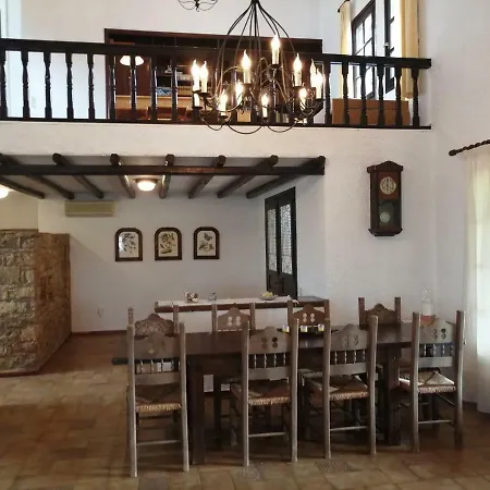 Orange Grove *