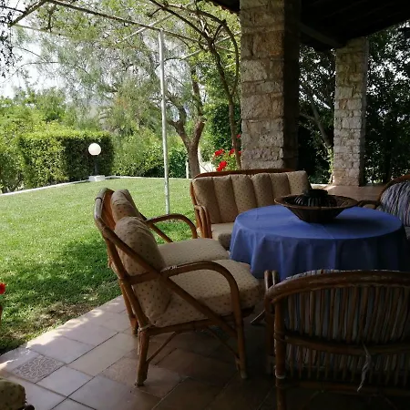 Orange Grove